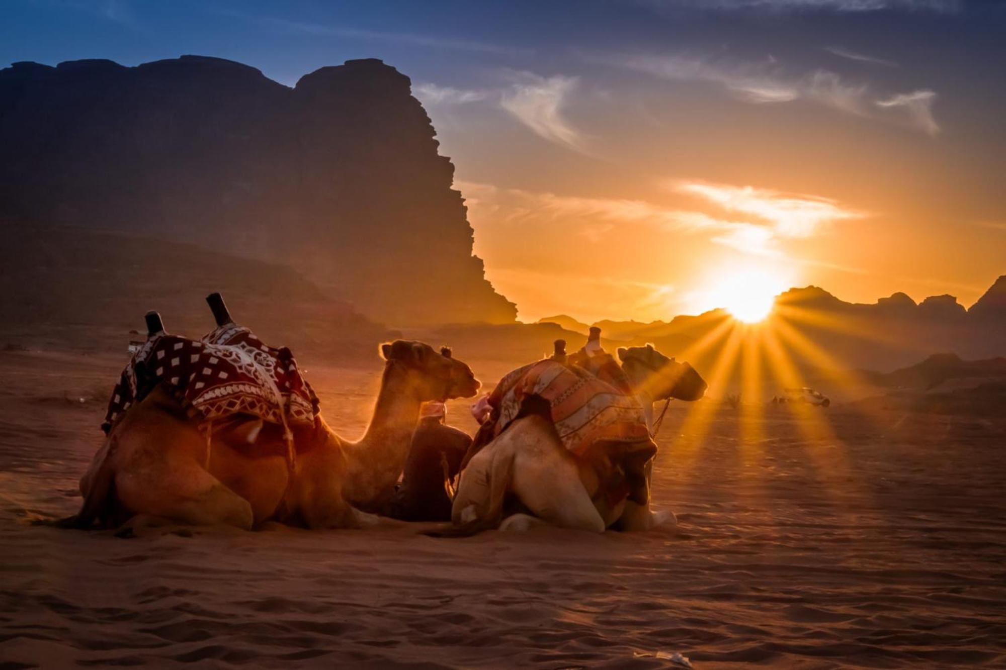 Wadi Rum Mundo Camp อคาบา ภายนอก รูปภาพ
